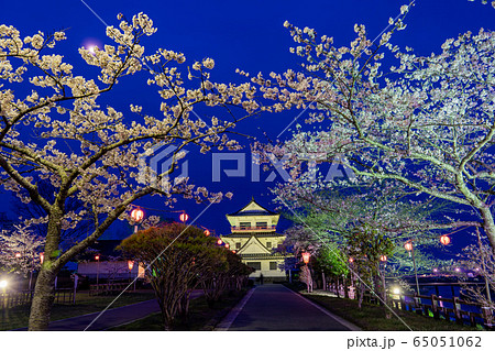 宮城県遠田郡　涌谷町　春の城山公園　満開の桜とライトアップ 65051062