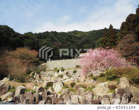 周防大島 春の帯石観音 65051164