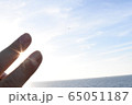 光 65051187