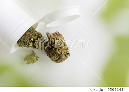 Cannabis dried leaves in white container Cannabis dried leaves in white container 65051454
