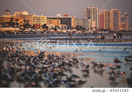 USA, Florida, Daytona Beach, Beach at sunrise 65051583