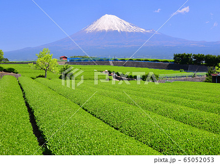 岩本山からの春の風景-333030 岩本山からの春の風景-333030 65052053