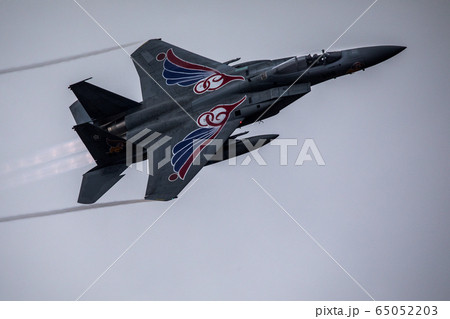 戦闘機 65052203