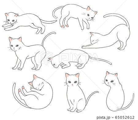 ダウンロード かわいい 白い 猫 イラスト Lasjpblogimg
