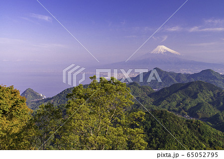 【静岡県】新緑の葛城山から富士山 65052795