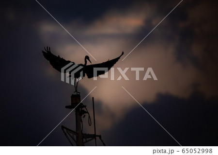 鷺 サギ 鷺 サギ 65052998