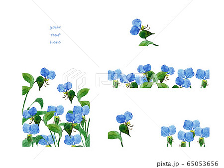 露草フレーム＆バナー 65053656