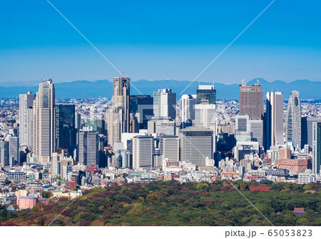 東京 新宿副都心の摩天楼 東京 新宿副都心の摩天楼 65053823