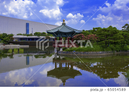 自然 ガーデン 庭園 65054589