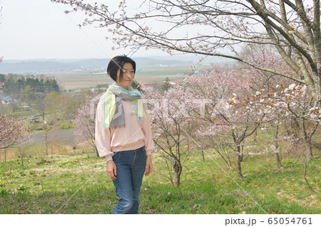 北海道せたな町玉川公園で桜と女性のポートレートを撮影 65054761