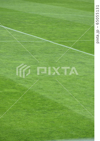サッカースタジアム 65055131
