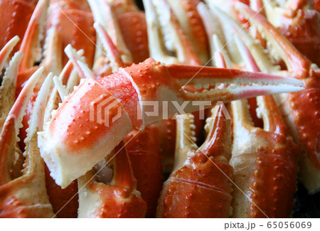 カニ ズワイガニ 爪 蟹爪 カニ ズワイガニ 爪 蟹爪 65056069