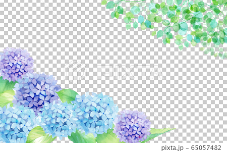 Decorative frame of hydrangea and fresh green watercolor illustration Decorative frame of hydrangea and fresh green watercolor illustration 65057482