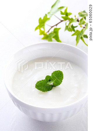 ヨーグルト 65060029