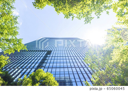 高層ビルを見上げるオフィス街の風景 65060045