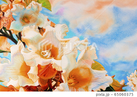 Watercolor paintings of Herald trumpet flower. Watercolor paintings of Herald trumpet flower. 65060375