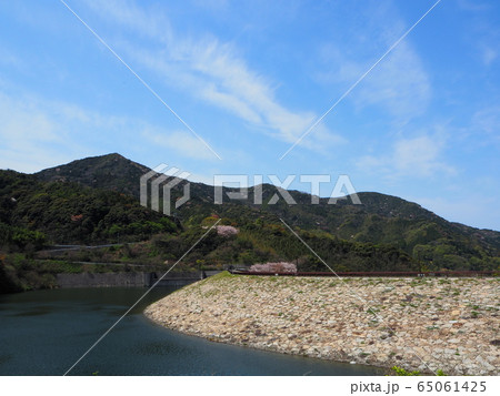 周防大島 春の屋代ダム 65061425
