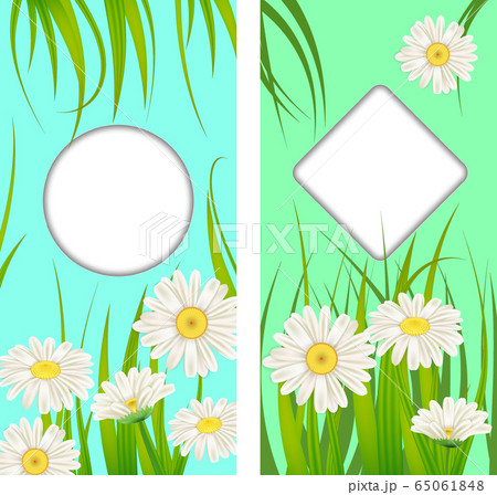 Set spring cards of floral flowers dandelions and daisies, chamomiles, grass backgrounds. Colorful spring vertical banners social media stories wallpapers. Vector illustration isolated Set spring cards of floral flowers dandelions and daisies, chamomiles, grass backgrounds. Colorful spring vertical banners social media stories wallpapers. Vector illustration isolated 65061848