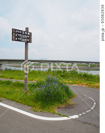 五料橋近くの利根川自転車道(玉村町) 五料橋近くの利根川自転車道(玉村町) 65062636