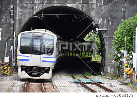 E217系電車(横須賀線・総武快速線など) E217系電車(横須賀線・総武快速線など) 65063178