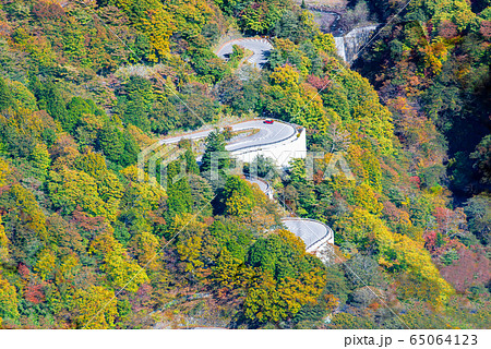 栃木県 日光市　明智平展望台から見る紅葉のいろは坂 65064123