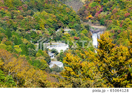 栃木県 日光市 明智平展望台から見る紅葉のいろは坂 栃木県 日光市 明智平展望台から見る紅葉のいろは坂 65064128