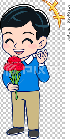 Carnation, mother's day 65065216