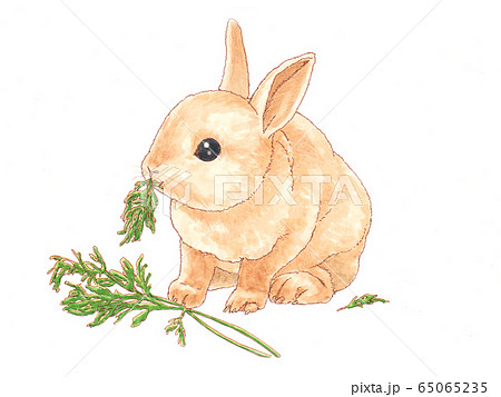 食事中のウサギのイラスト素材
