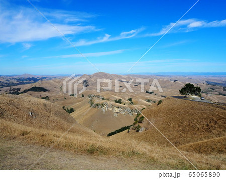 ニュージーランド登山 te mata peak ニュージーランド登山 te mata peak 65065890