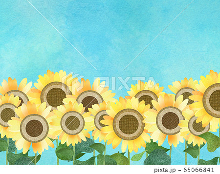 背景 向日葵のイラスト素材