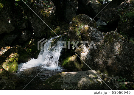 Waterfalls and Slopes. Myra Falls ,in the Muggendorf in Lower Austria Waterfalls and Slopes. Myra Falls ,in the Muggendorf in Lower Austria 65066949