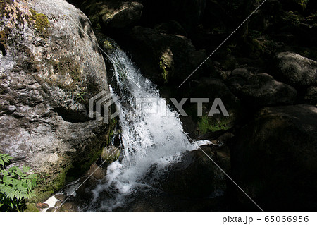 Waterfalls and Slopes. Myra Falls ,in the Muggendorf in Lower Austria Waterfalls and Slopes. Myra Falls ,in the Muggendorf in Lower Austria 65066956