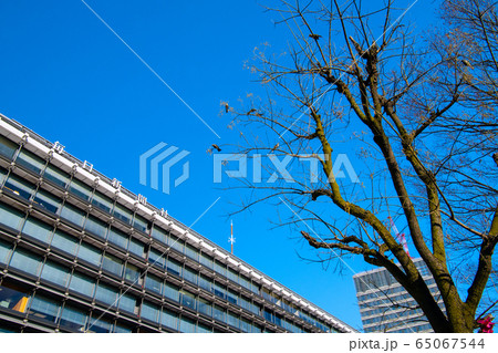 日本の東京都市景観　毎日新聞社などを望む 65067544