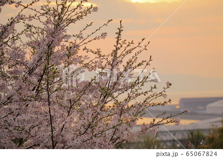 荒尾市 四山神社 夕景、 荒尾市 四山神社 夕景、 65067824