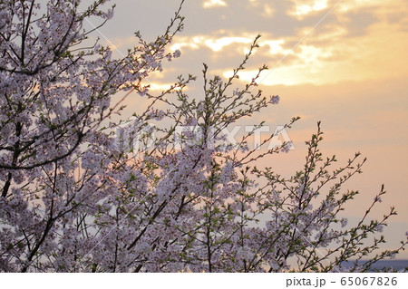 荒尾市 四山神社 夕景、 荒尾市 四山神社 夕景、 65067826