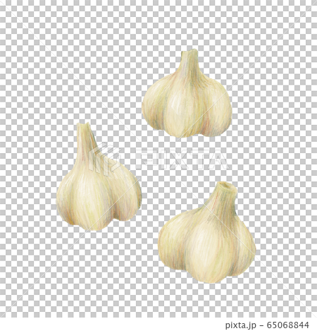 garlic  65068844