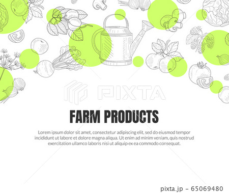 Farm Products Banner Template with Hand Drawn Vegetables Seamless Pattern Vector Illustration Farm Products Banner Template with Hand Drawn Vegetables Seamless Pattern Vector Illustration 65069480