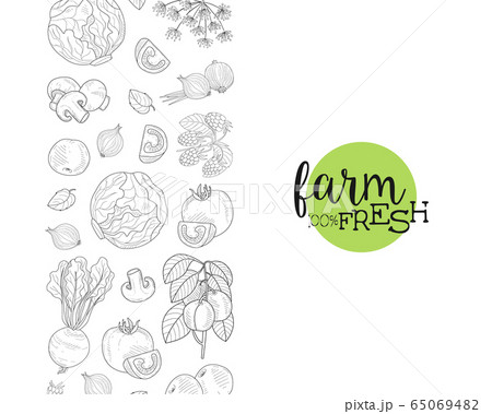Fresh Farm Food Banner Template with Hand Drawn Vegetables and Plants Seamless Pattern Vector Illustration Fresh Farm Food Banner Template with Hand Drawn Vegetables and Plants Seamless Pattern Vector Illustration 65069482
