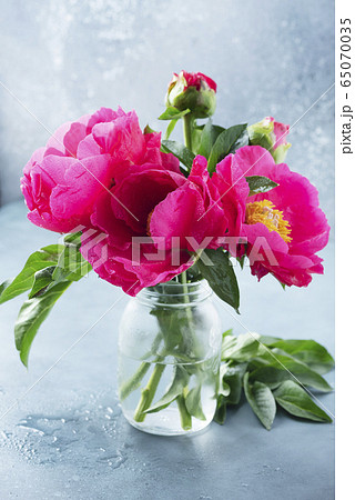 Peony Madame Butterfly Peony Madame Butterfly 65070035