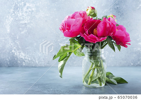 Peony Madame Butterfly Peony Madame Butterfly 65070036
