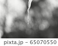 白黒写真 散歩 流れる 65070550