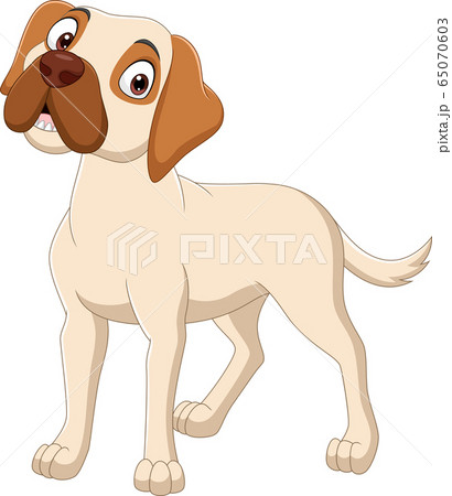 Cartoon dog isolated on white background Cartoon dog isolated on white background 65070603