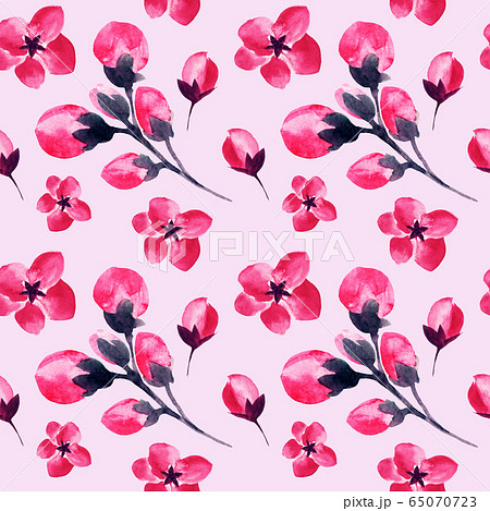 Sakura cherry blossom flowers watercolor pattern 65070723