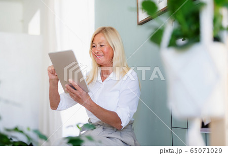Attractive senior businesswoman with tablet indoors in home office, working. 65071029