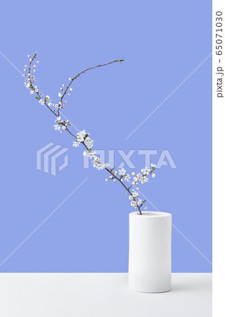 Greeting card from blooming cherry twig in a ceramic vase. 65071030