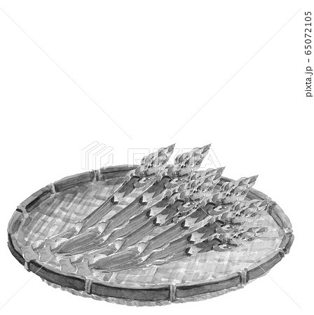 ザルにのせたアスパラガス 水墨画風 モノトーンのイラスト素材 65072105 Pixta