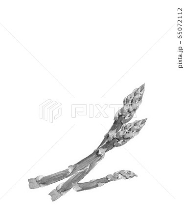 水彩 グリーンアスパラガス 水墨画風のイラスト素材 65072112 Pixta
