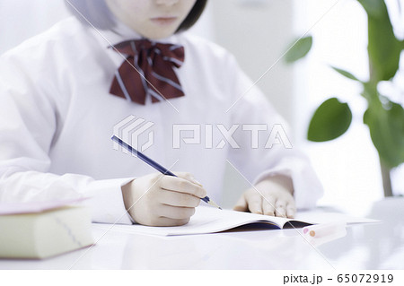 女子生徒 学習イメージ 女子生徒 学習イメージ 65072919