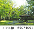 小作緑地公園 65074091