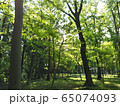 小作緑地公園 65074093